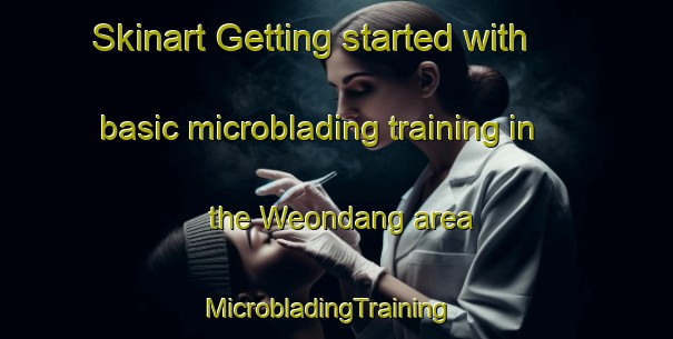 Skinart Getting started with basic microblading training in the Weondang area | MicrobladingTraining | MicrobladingClasses | SkinartTraining-Korea