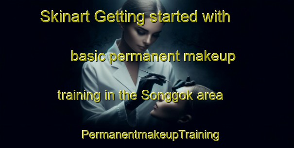 Skinart Getting started with basic permanent makeup training in the Songgok area | PermanentmakeupTraining | PermanentmakeupClasses | SkinartTraining-Korea