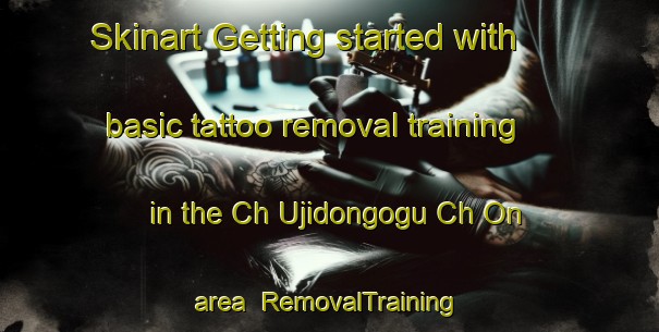 Skinart Getting started with basic tattoo removal training in the Ch Ujidongogu Ch On area | RemovalTraining | RemovalClasses | SkinartTraining-Korea