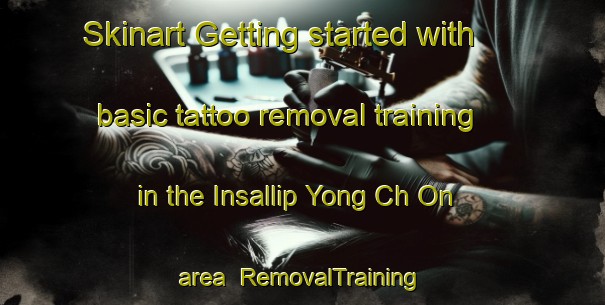 Skinart Getting started with basic tattoo removal training in the Insallip Yong Ch On area | RemovalTraining | RemovalClasses | SkinartTraining-Korea