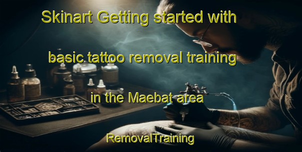 Skinart Getting started with basic tattoo removal training in the Maebat area | RemovalTraining | RemovalClasses | SkinartTraining-Korea