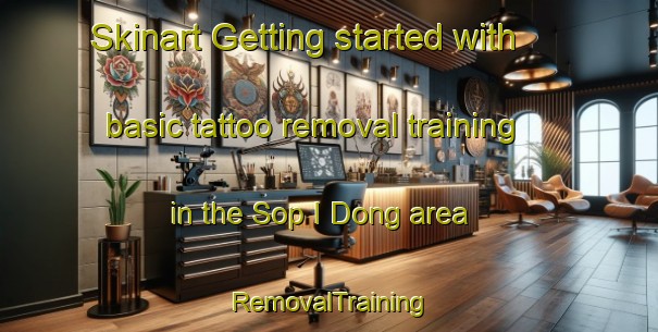 Skinart Getting started with basic tattoo removal training in the Sop I Dong area | RemovalTraining | RemovalClasses | SkinartTraining-Korea