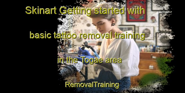 Skinart Getting started with basic tattoo removal training in the Togae area | RemovalTraining | RemovalClasses | SkinartTraining-Korea