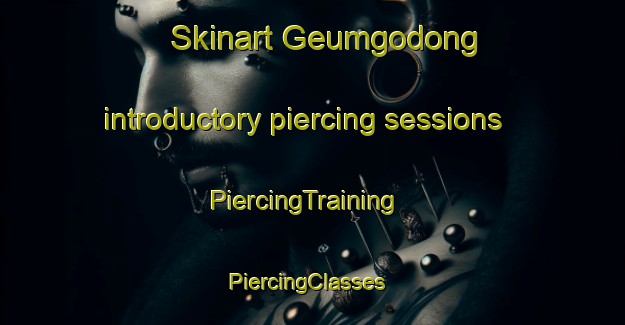 Skinart Geumgodong introductory piercing sessions | PiercingTraining | PiercingClasses | SkinartTraining-Korea