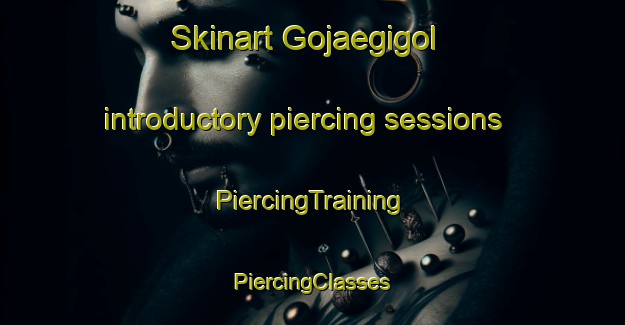 Skinart Gojaegigol introductory piercing sessions | #PiercingTraining #PiercingClasses #SkinartTraining-Korea