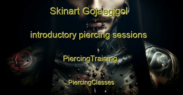 Skinart Gojaegigol introductory piercing sessions | #PiercingTraining #PiercingClasses #SkinartTraining-Korea