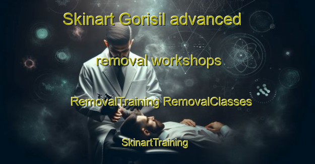 Skinart Gorisil advanced removal workshops | #RemovalTraining #RemovalClasses #SkinartTraining-Korea