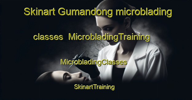 Skinart Gumandong microblading classes | MicrobladingTraining | MicrobladingClasses | SkinartTraining-Korea