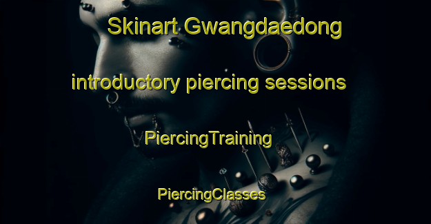 Skinart Gwangdaedong introductory piercing sessions | PiercingTraining | PiercingClasses | SkinartTraining-Korea