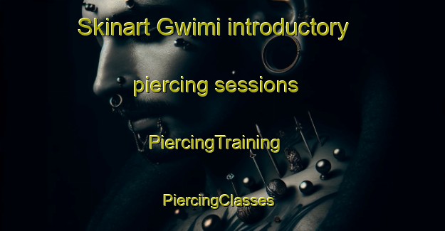 Skinart Gwimi introductory piercing sessions | PiercingTraining | PiercingClasses | SkinartTraining-Korea