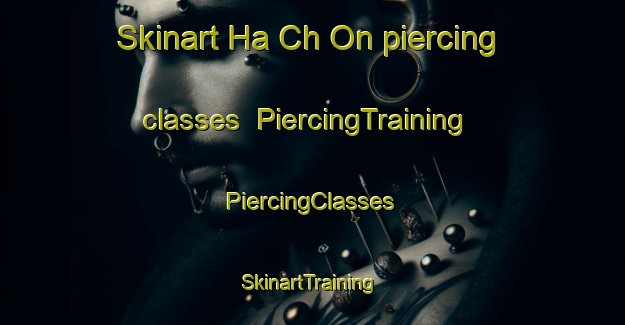 Skinart Ha Ch On piercing classes | #PiercingTraining #PiercingClasses #SkinartTraining-Korea