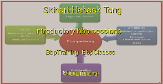 Skinart Habaek Tong introductory bbp sessions | BbpTraining | BbpClasses | SkinartTraining-Korea