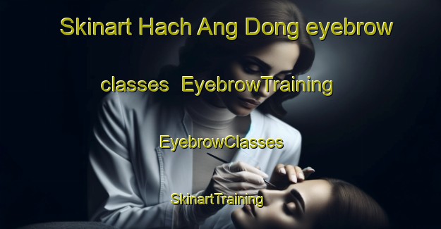 Skinart Hach Ang Dong eyebrow classes | EyebrowTraining | EyebrowClasses | SkinartTraining-Korea