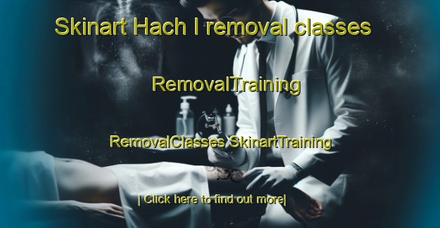 Skinart Hach I removal classes | #RemovalTraining #RemovalClasses #SkinartTraining-Korea