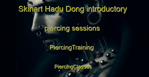 Skinart Hadu Dong introductory piercing sessions | PiercingTraining | PiercingClasses | SkinartTraining-Korea