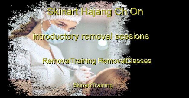 Skinart Hajang Ch On introductory removal sessions | #RemovalTraining #RemovalClasses #SkinartTraining-Korea