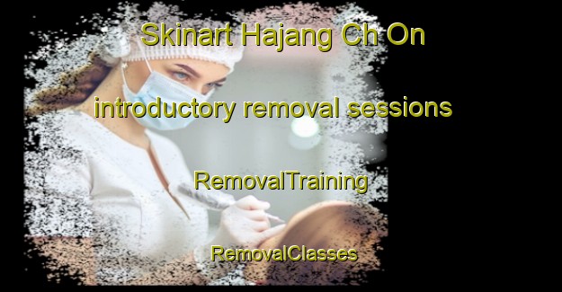 Skinart Hajang Ch On introductory removal sessions | RemovalTraining | RemovalClasses | SkinartTraining-Korea