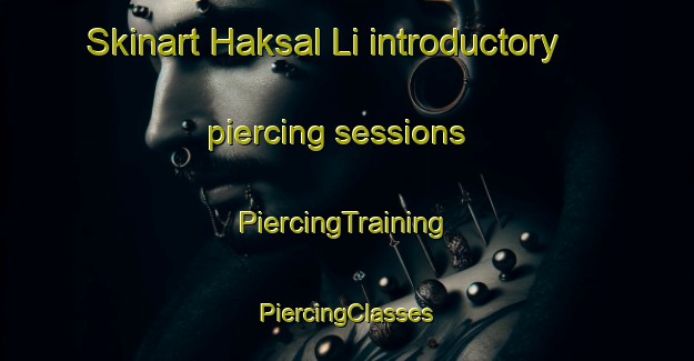 Skinart Haksal Li introductory piercing sessions | #PiercingTraining #PiercingClasses #SkinartTraining-Korea