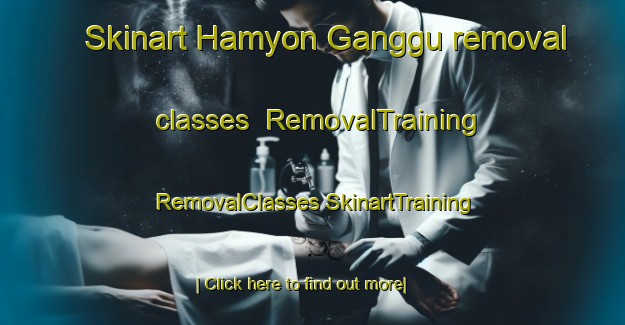 Skinart Hamyon Ganggu removal classes | #RemovalTraining #RemovalClasses #SkinartTraining-Korea