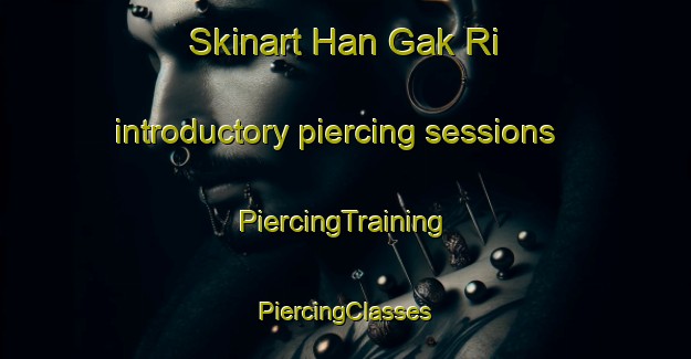 Skinart Han Gak Ri introductory piercing sessions | #PiercingTraining #PiercingClasses #SkinartTraining-Korea