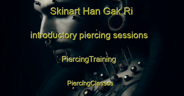 Skinart Han Gak Ri introductory piercing sessions | PiercingTraining | PiercingClasses | SkinartTraining-Korea