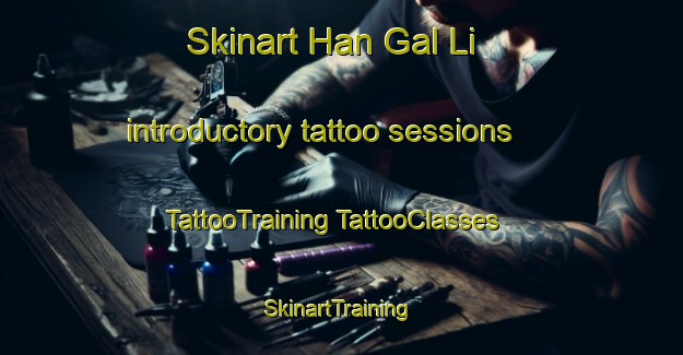 Skinart Han Gal Li introductory tattoo sessions | #TattooTraining #TattooClasses #SkinartTraining-Korea