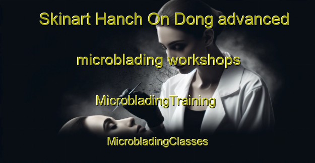 Skinart Hanch On Dong advanced microblading workshops | #MicrobladingTraining #MicrobladingClasses #SkinartTraining-Korea