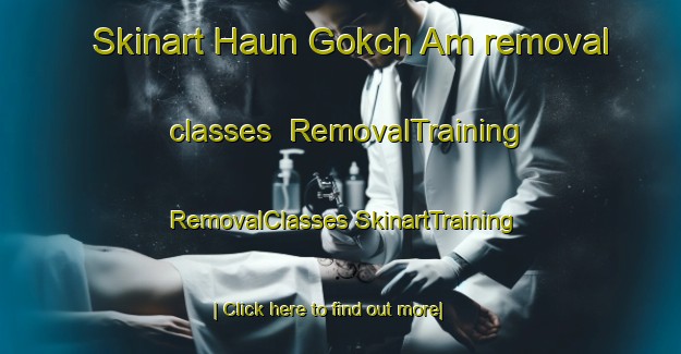 Skinart Haun Gokch Am removal classes | #RemovalTraining #RemovalClasses #SkinartTraining-Korea