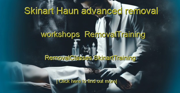 Skinart Haun advanced removal workshops | #RemovalTraining #RemovalClasses #SkinartTraining-Korea