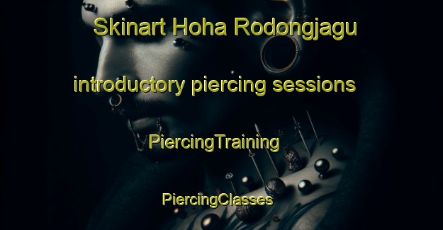 Skinart Hoha Rodongjagu introductory piercing sessions | PiercingTraining | PiercingClasses | SkinartTraining-Korea