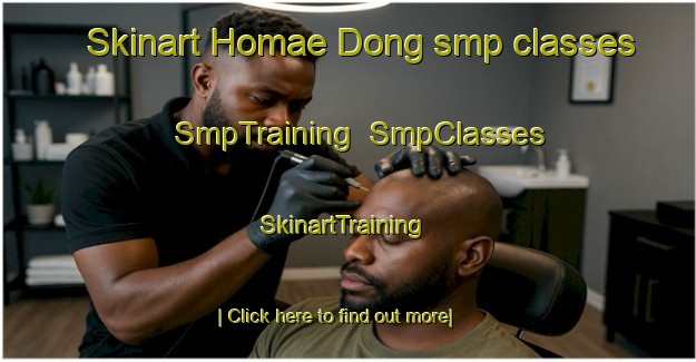 Skinart Homae Dong smp classes | SmpTraining | SmpClasses | SkinartTraining-Korea