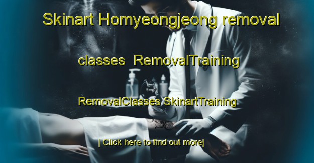 Skinart Homyeongjeong removal classes | #RemovalTraining #RemovalClasses #SkinartTraining-Korea