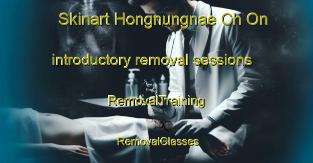 Skinart Hongnungnae Ch On introductory removal sessions | RemovalTraining | RemovalClasses | SkinartTraining-Korea