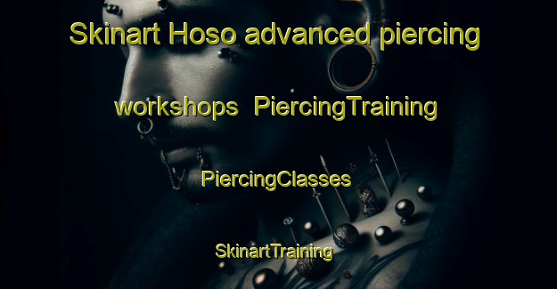 Skinart Hoso advanced piercing workshops | #PiercingTraining #PiercingClasses #SkinartTraining-Korea