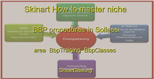 Skinart How to master niche BBP procedures in Sollaesi area | BbpTraining | BbpClasses | SkinartTraining-Korea