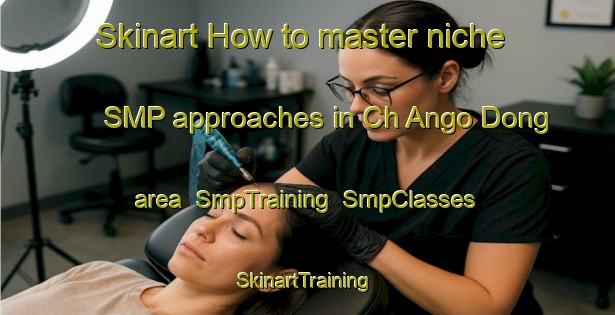 Skinart How to master niche SMP approaches in Ch Ango Dong area | SmpTraining | SmpClasses | SkinartTraining-Korea