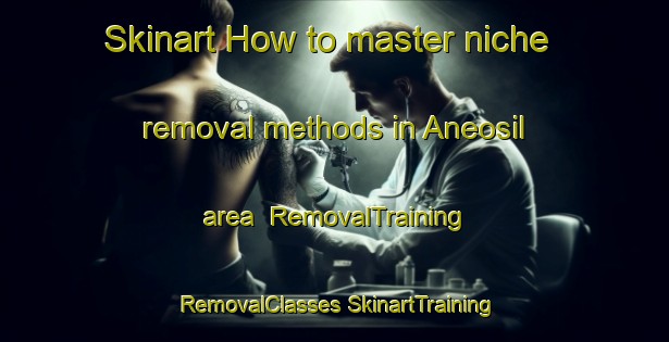 Skinart How to master niche removal methods in Aneosil area | #RemovalTraining #RemovalClasses #SkinartTraining-Korea