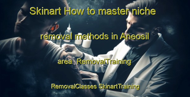 Skinart How to master niche removal methods in Aneosil area | #RemovalTraining #RemovalClasses #SkinartTraining-Korea