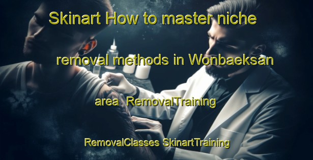 Skinart How to master niche removal methods in Wonbaeksan area | #RemovalTraining #RemovalClasses #SkinartTraining-Korea