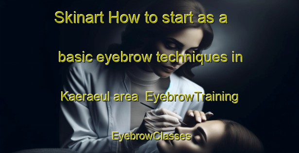 Skinart How to start as a basic eyebrow techniques in Kaeraeul area | EyebrowTraining | EyebrowClasses | SkinartTraining-Korea