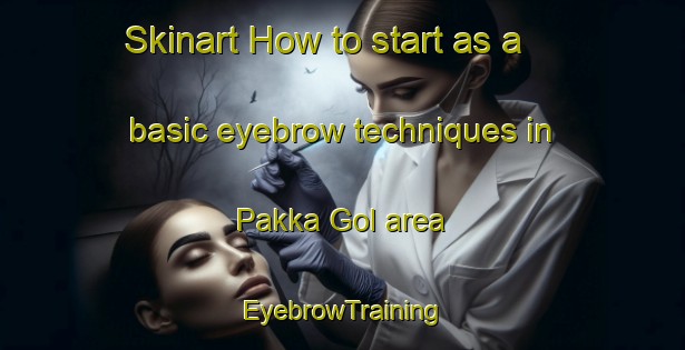 Skinart How to start as a basic eyebrow techniques in Pakka Gol area | EyebrowTraining | EyebrowClasses | SkinartTraining-Korea