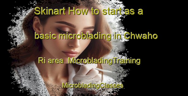 Skinart How to start as a basic microblading in Chwaho Ri area | MicrobladingTraining | MicrobladingClasses | SkinartTraining-Korea
