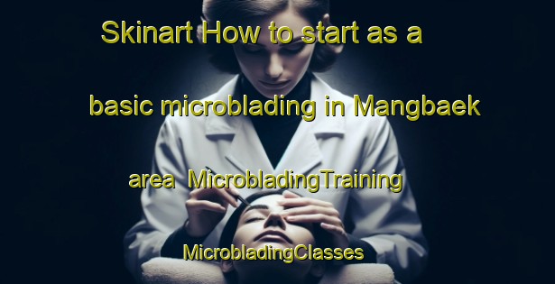 Skinart How to start as a basic microblading in Mangbaek area | MicrobladingTraining | MicrobladingClasses | SkinartTraining-Korea