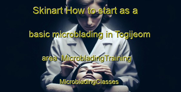 Skinart How to start as a basic microblading in Togijeom area | MicrobladingTraining | MicrobladingClasses | SkinartTraining-Korea