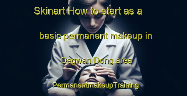 Skinart How to start as a basic permanent makeup in Oegwan Dong area | PermanentmakeupTraining | PermanentmakeupClasses | SkinartTraining-Korea