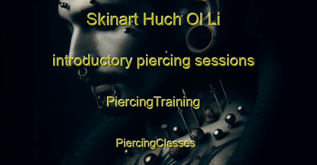 Skinart Huch Ol Li introductory piercing sessions | PiercingTraining | PiercingClasses | SkinartTraining-Korea