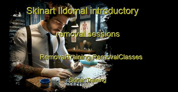 Skinart Ildomal introductory removal sessions | #RemovalTraining #RemovalClasses #SkinartTraining-Korea