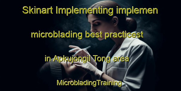 Skinart Implementing implemen microblading best practicest in Apkujongil Tong area | #MicrobladingTraining #MicrobladingClasses #SkinartTraining-Korea