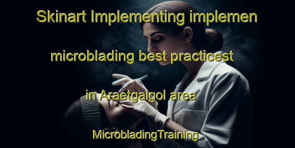 Skinart Implementing implemen microblading best practicest in Araetgalgol area | #MicrobladingTraining #MicrobladingClasses #SkinartTraining-Korea