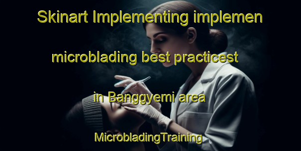 Skinart Implementing implemen microblading best practicest in Banggyemi area | #MicrobladingTraining #MicrobladingClasses #SkinartTraining-Korea